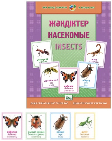 Обучающие карточки Насекомые, А5, картон