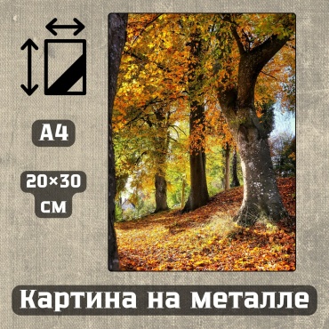 Sequoia VERS картина Картина на металле а4 Дыхание природы 20*30см 20x30 см