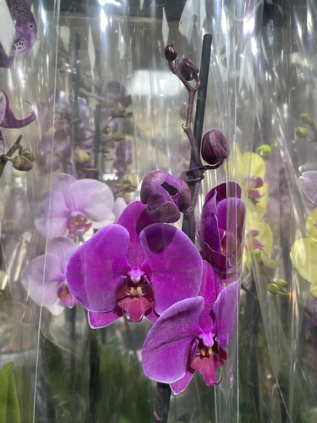 Фото 9