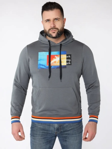 Худи Paul&Shark серый