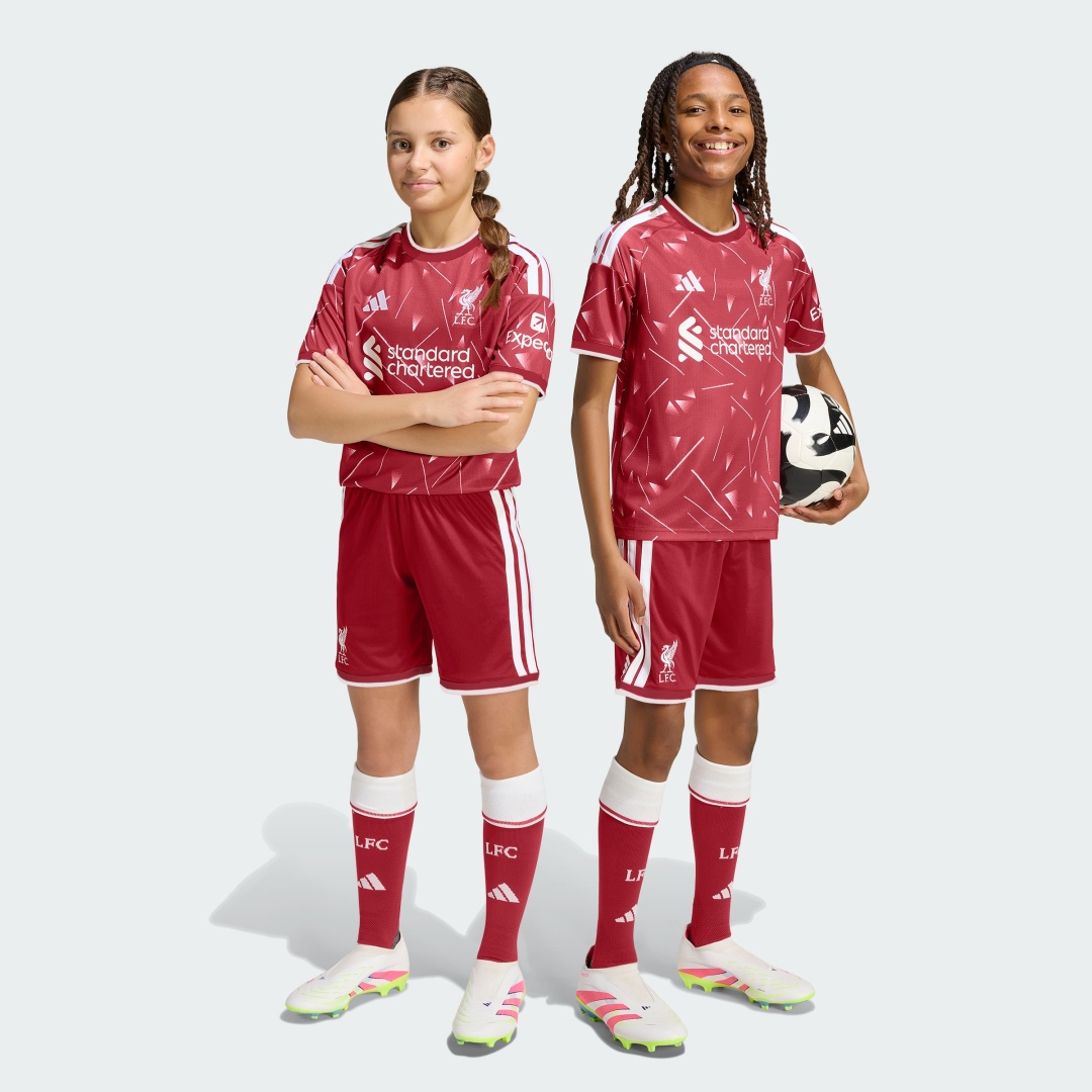 Спортивные шорты adidas бордовый