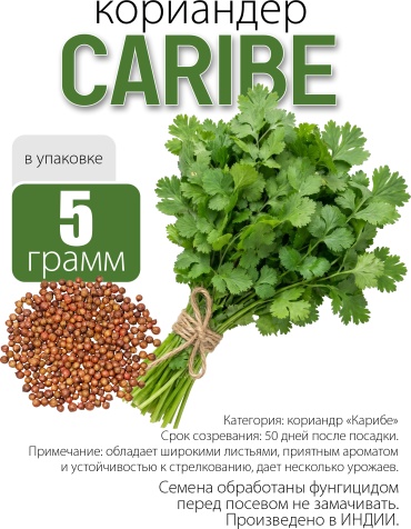 Kalash Seeds кориандр Caribe