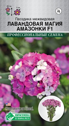 Евро-Семена гвоздика Гвоздика межвидовая Лавандовая магия Амазонки