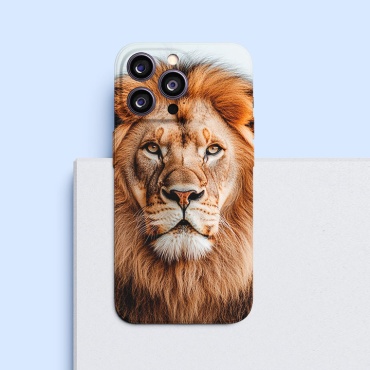 Чехол для Apple iPhone 16 Plus рисунок
