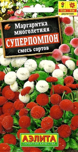 Аэлита маргаритка Суперпомпон смесь сортов