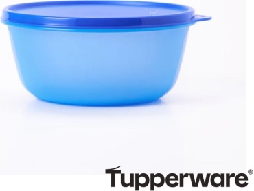 Tupperware контейнер "Хит-парад", полипропилен, полиэтилен