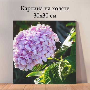 Quantum картина Растения и цветы 30x30 см