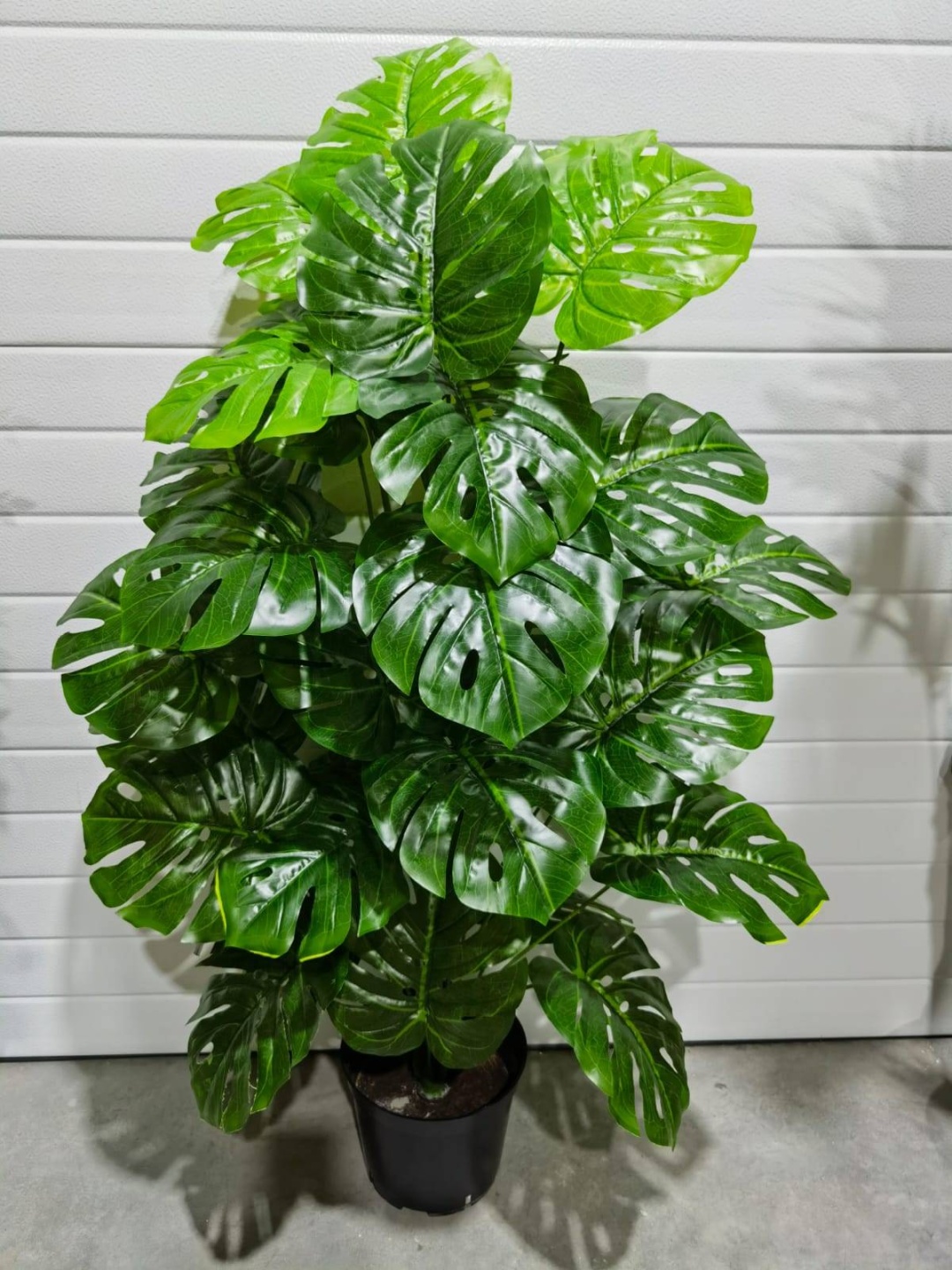 Фото 4
