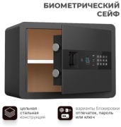 Сейф DELI AE210 ключевой, электронный, биометрический замок (400х300х300 мм)