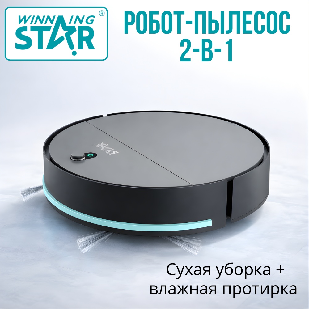 Робот-пылесос WinningStar ST-9799-R черный, серый