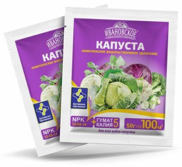 Ивановское капуста
