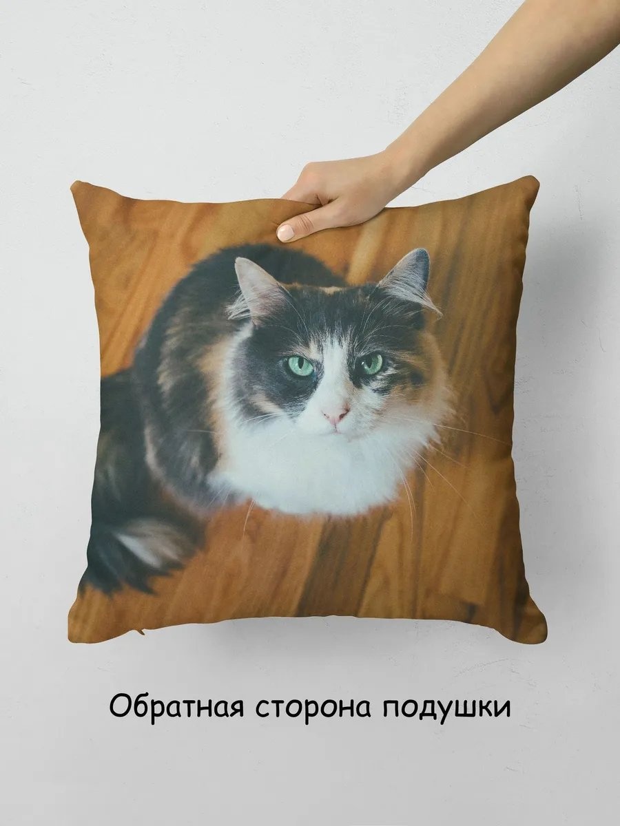 Фото 4