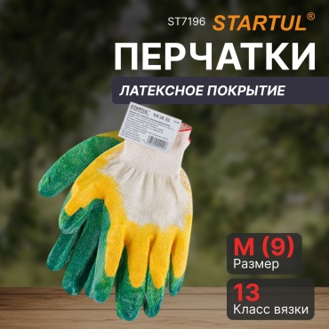 Startul ST7196 13 класс