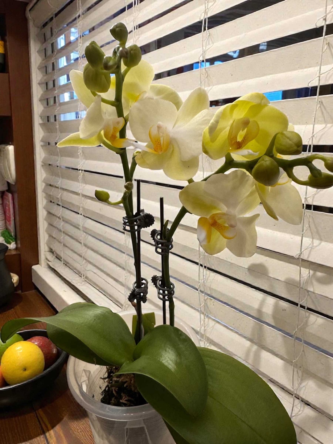 Фото 2