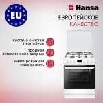 �������� ����� Hansa FCMW68299 �����