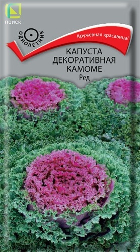 капуста декоративная Камоме Ред