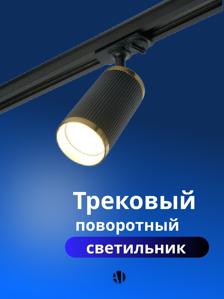 Ayan Light трековый светильник SPDL 2316-BK