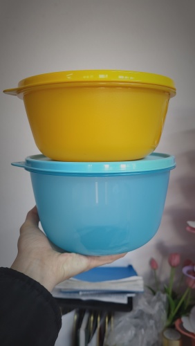 Tupperware набор контейнеров РП1582 2 шт, полимер