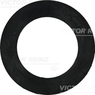 Victor Reinz Уплотнительное Кольцо 407740800