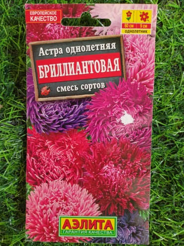 Аэлита астра Бриллиантовая смесь сортов