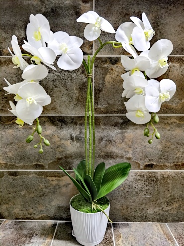 Фото 2
