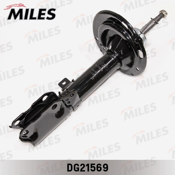Амортизатор MILES задний DG21569 1 шт