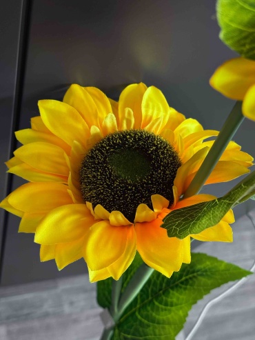 Фото 3