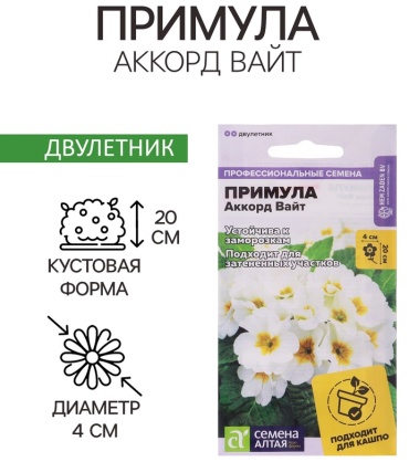 Семена Алтая примула "Аккорд Вайт"