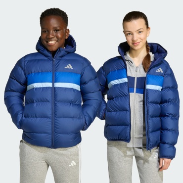 Демисезонная куртка adidas синий