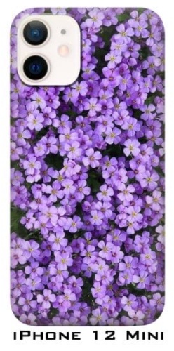 Чехол для Apple iPhone 12 Mini рисунок