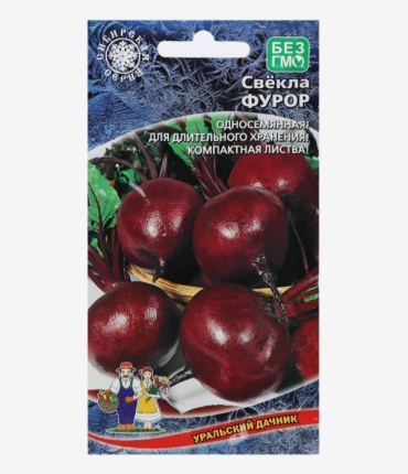 Уральский дачник свёкла Фурор