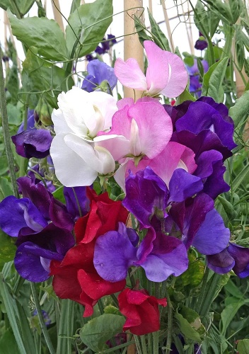 Фото 2
