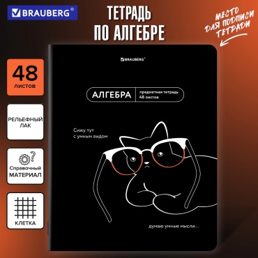 Предметная тетрадь Brauberg МЕМЫ, 48 л, А5, клетка, мягкая обложка, 1 шт