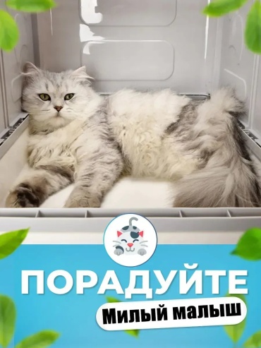 Лоток с бортиком серый