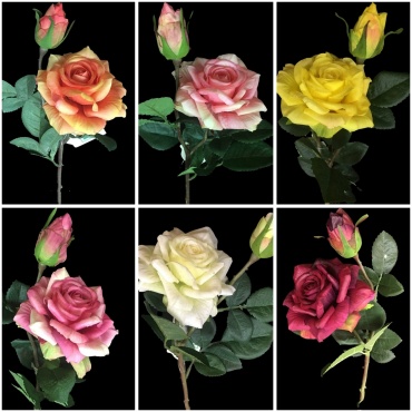 Фото 3