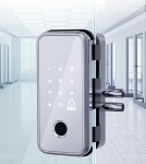 Замок Электронный 220