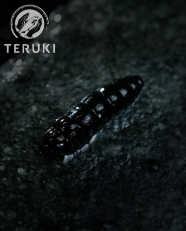 Мягкая приманка TERUKI PTS-C-101 12 шт 28 мм