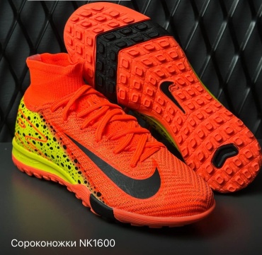 Сороконожки коралловый
