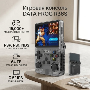 DATA FROG R36S 64Gb