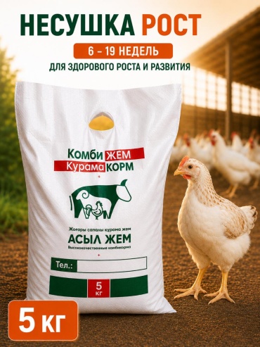 Асыл Жем Рост полнорационный комбикорм для молодняка кур-несушек 6-19 недель 5 кг