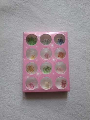 Beauty Nail сухоцветы Set 12 1 шт