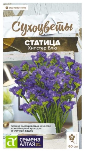 Семена Алтая статица Хипстер Блю