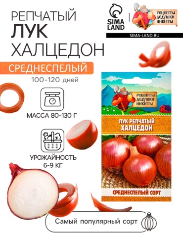 Рецепты дедушки Никиты лук репчатый «Халцедон»