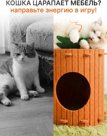 Фото 3