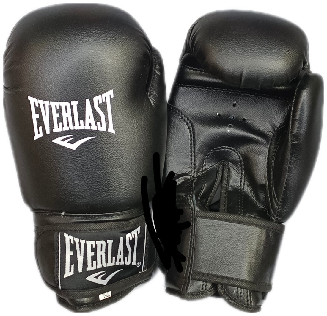 Купить Боксерские перчатки ELF E.LAST FIGHTING 6 oz черный в Алматы ...