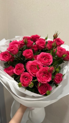 Фото 2