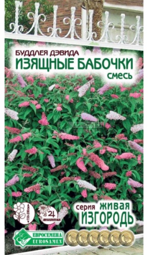 Евро-Семена буддлея дэвида Изящные бабочки