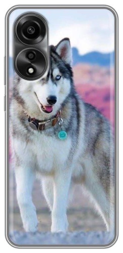 Чехол BAIKO для OPPO A58 рисунок