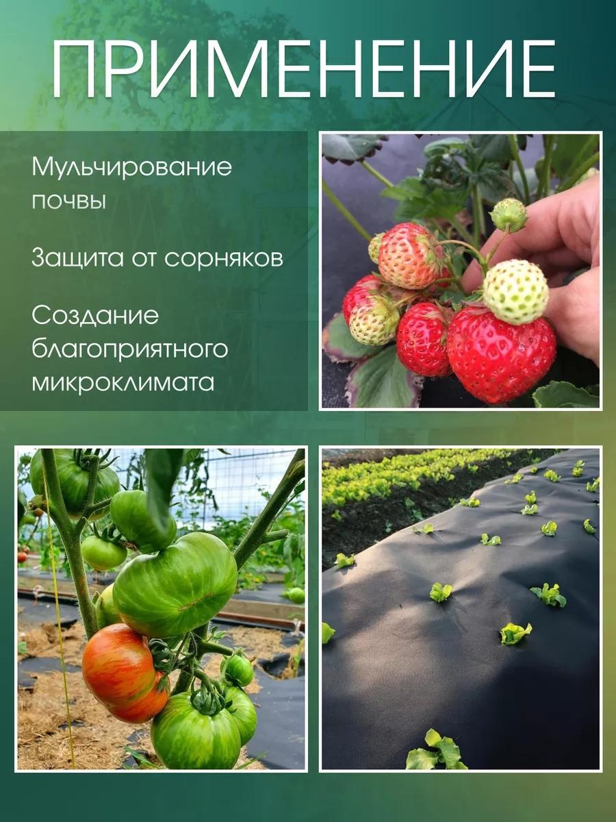 Фото 2