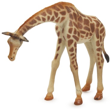 Фото 5